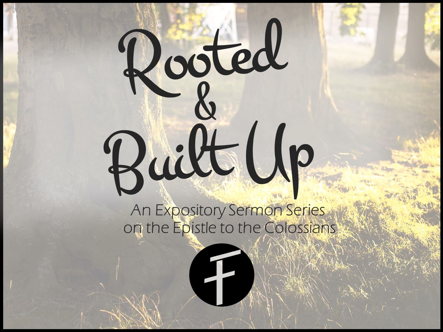 sermon series image for being rooted and built up in Christ and his church, Colossians